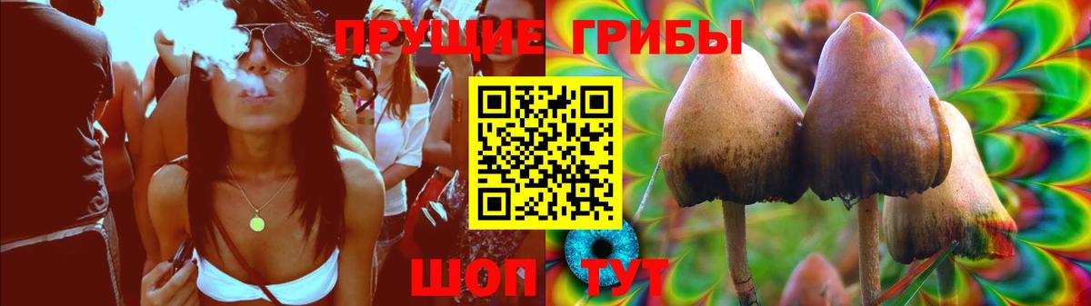 Родники  Псилоцибиновые грибы ЛСД  Вход с VPN  Псилоцибиновые грибы прущие грибы 
