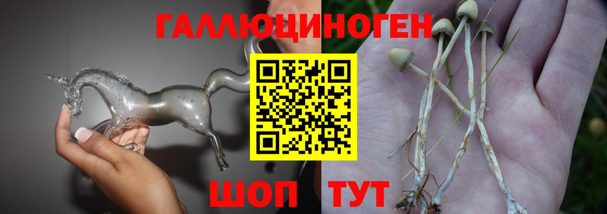 Галлюциногенные грибы мухоморы Родники